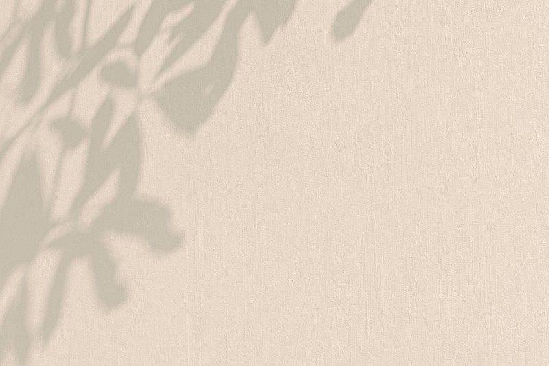 Aesthetic Photo Background Ideas